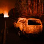 A merda e o negócio dos incêndios em Portugal